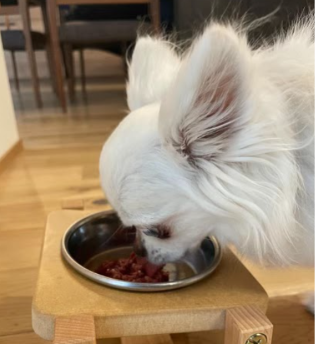 おこめくんがごはんを食べる様子